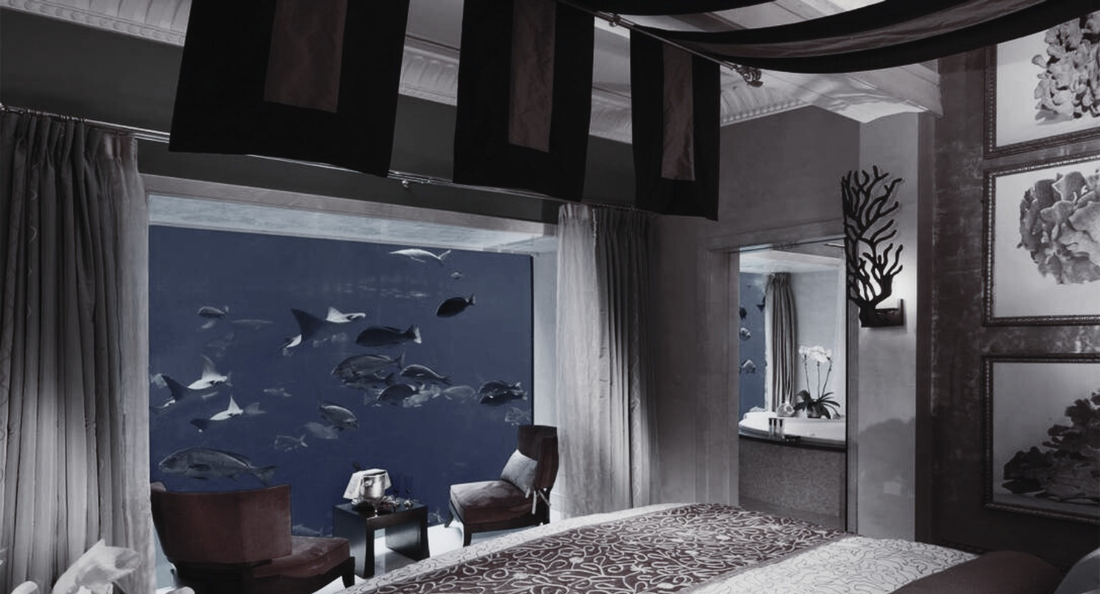 Ecler Beauty - Presença é o novo poder